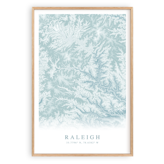 raleigh north carolina map print in wood frame