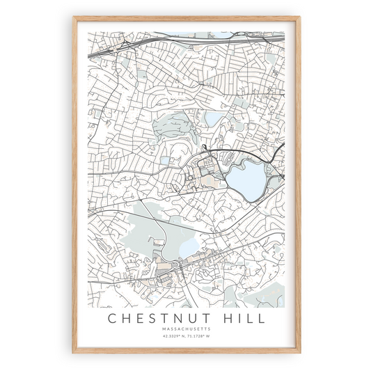 chestnut hill map print