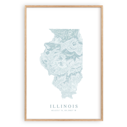 illinois map print in wood frame